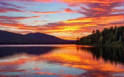 Canon R50 vs Nikon ZF